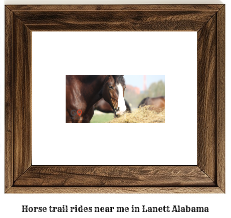 horse trail rides near me in Lanett, Alabama